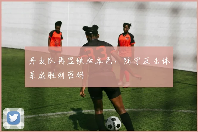 丹麦队再显铁血本色,防守反击体系成胜利密码 - 虎扑体育推荐