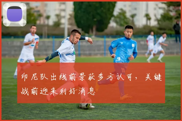 印尼队出线前景获多方认可,关键战前迎来利好消息 - 虎扑体育推荐